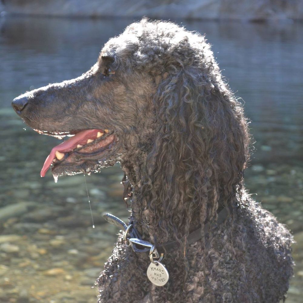 Meet your Posher, Denise